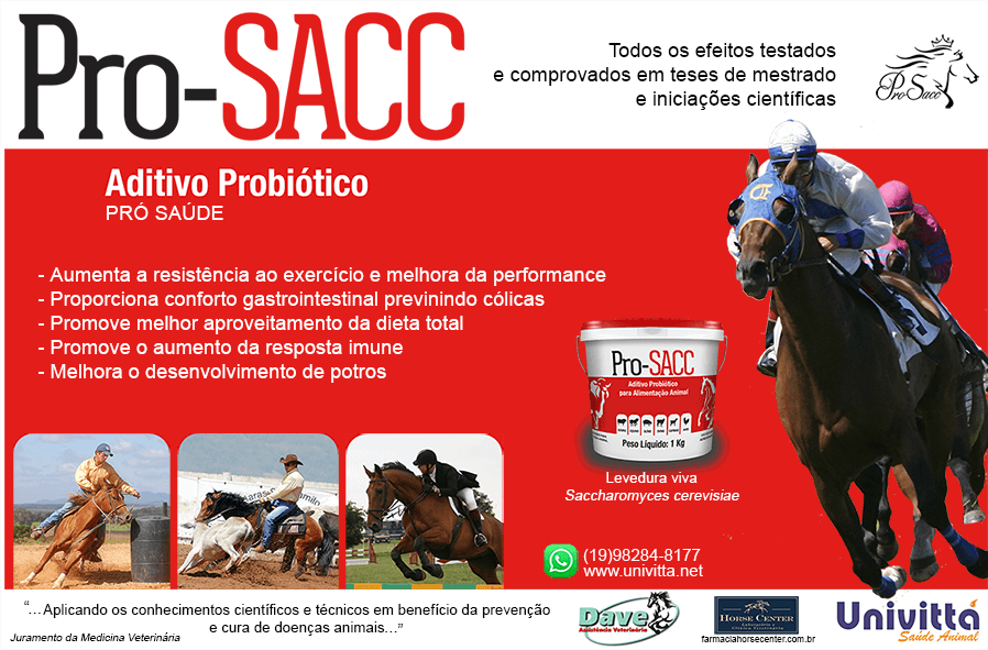 Efeitos da adição de Leveduras Vivas na dieta de equinos